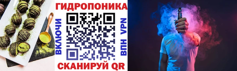 купить закладку  Княгинино  Cannafood конопля 