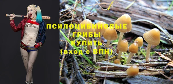 героин Инта