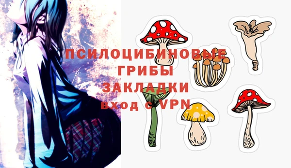 героин Инта