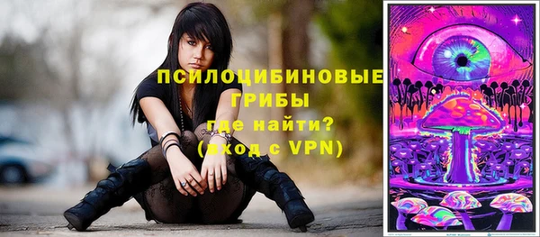 стаф Зеленокумск