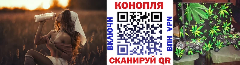 дарнет шоп  Княгинино  Бошки Шишки White Widow 